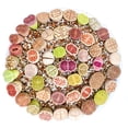 thumbnail image 3 of Micro Landscape Design 2 lb (1.5 Quarts) Gritty Mix Pumice Based / Excellent Soil-less Potting Medium / Perfect Potting Soil for Lithops Succulent, 3 of 7