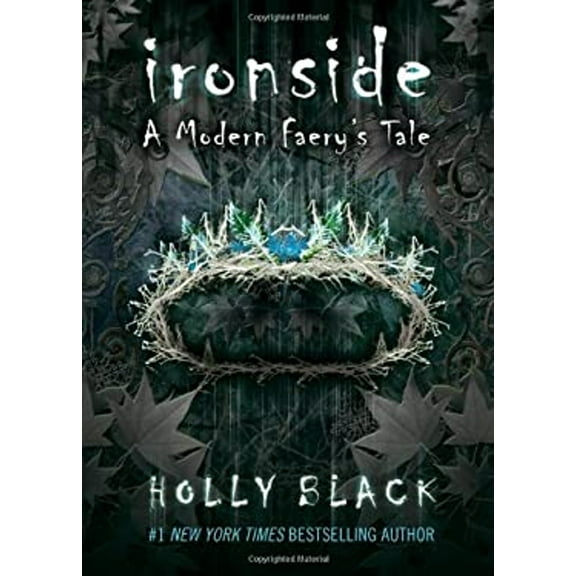 Pre-Owned Ironside: A Modern Faerie Tale (Hardcover) 0689868200 9780689868207