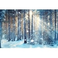 thumbnail image 2 of Art.com Frosty Winter Landscape in Snowy Forest Photographic Print by Kichigin, 24" x 16", 2 of 4