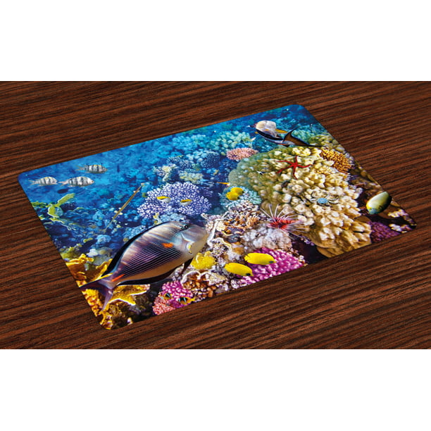 Fish Placemats Set of 4 Egyptian Red Sea Bottom View with Marine ...