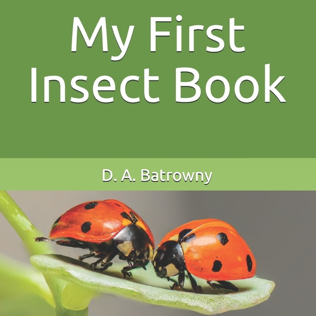 My First Book My First Insect Book (Series 7) (Paperback) Walmart