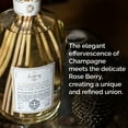 thumbnail image 4 of Logevy Firenze 1965 Champagne e Bacche di Rosa - Champagne and Rose Berries Luxury Home Fragrance Diffuser with Floral & Fruity Notes in Elegant Glass Bottle with 10 Natural Bamboo Reeds - 250ml, 4 of 6