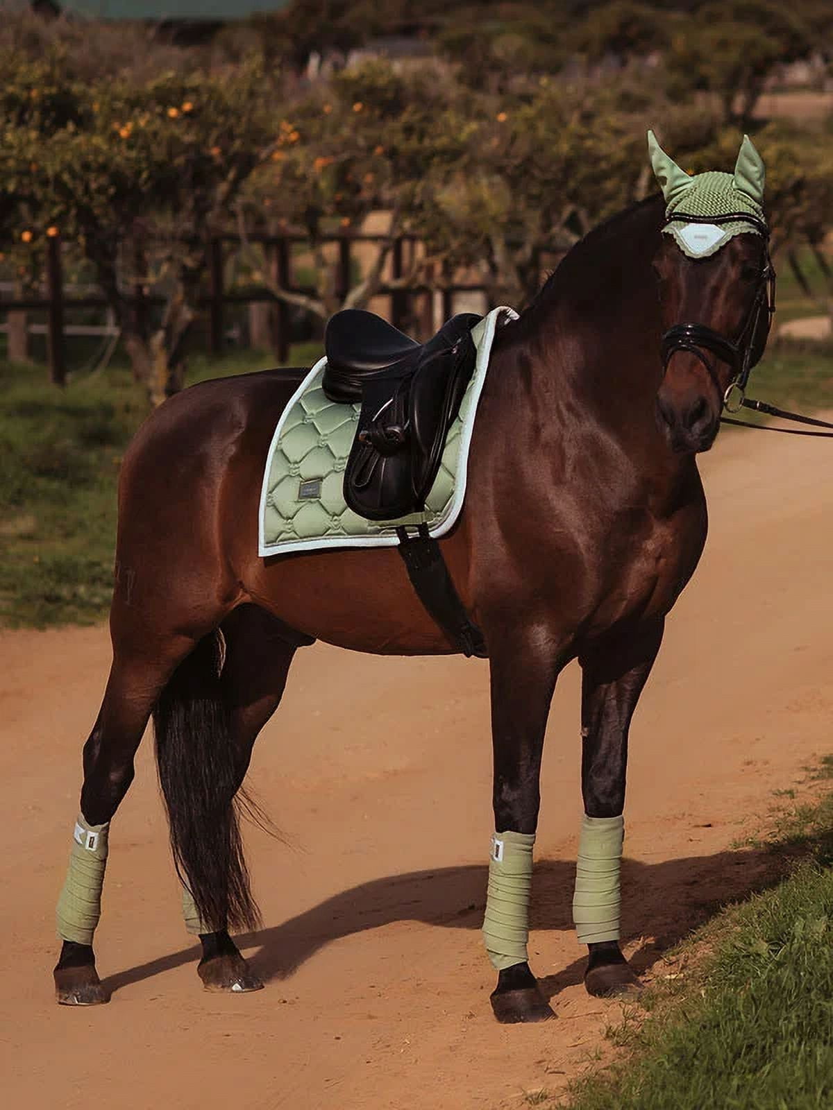 Equestrian Stockholm Fleece Bandages Pistachio White