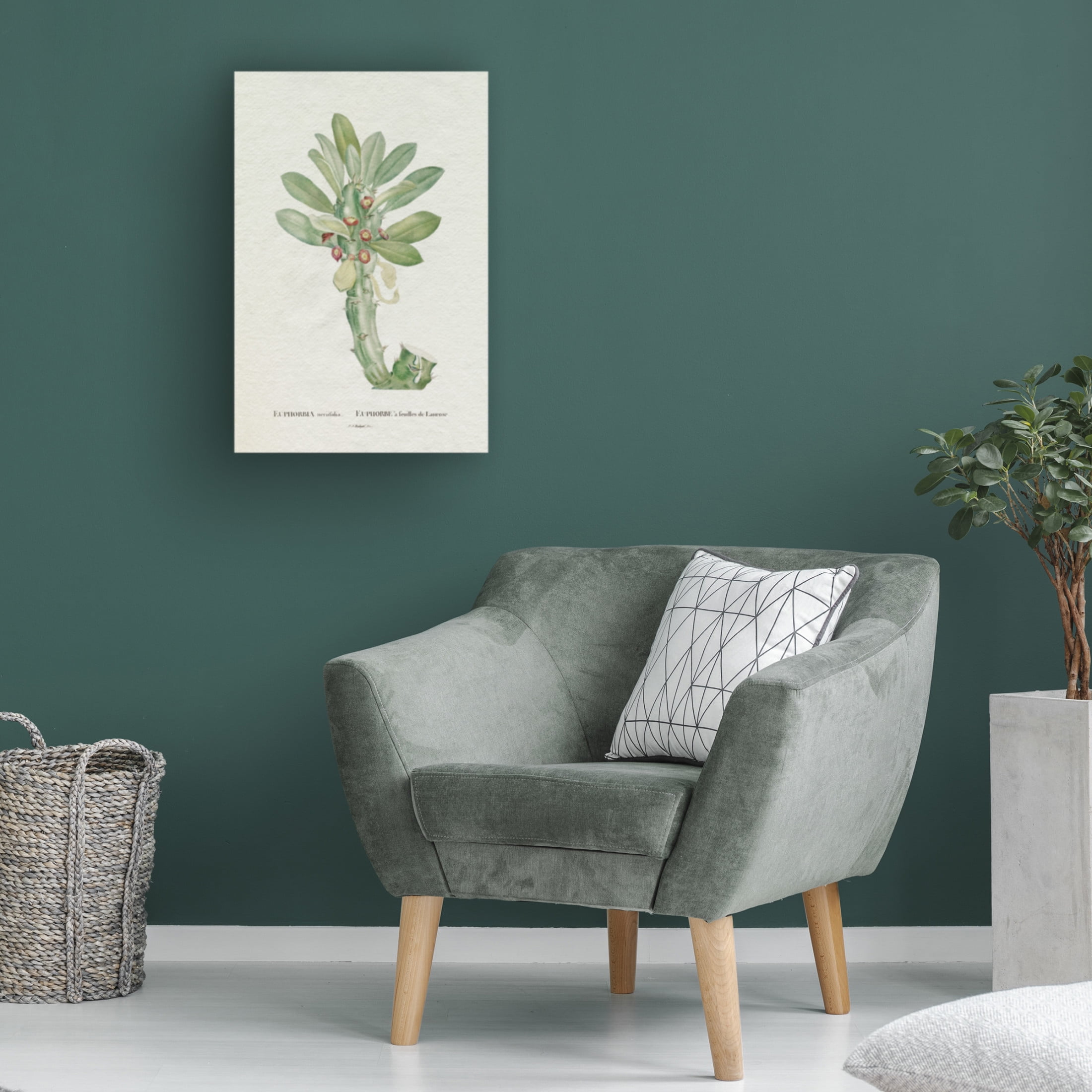 Trademark Fine Art Pierre Redoute  Redoute Succulent VI Canvas Wall Art