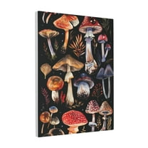 12x16 inch Yard Rustic Decor Mushroom Illustration Paintings Wall Art,Home Room Canvas Decor Bedroom Accessory,Garden Yard,Lounge,Children'S Room Pictures Wall Art Prints Decoration Painting