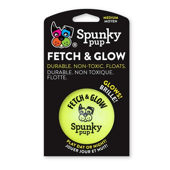 Jouets pour chiens balle à rapporter et à briller