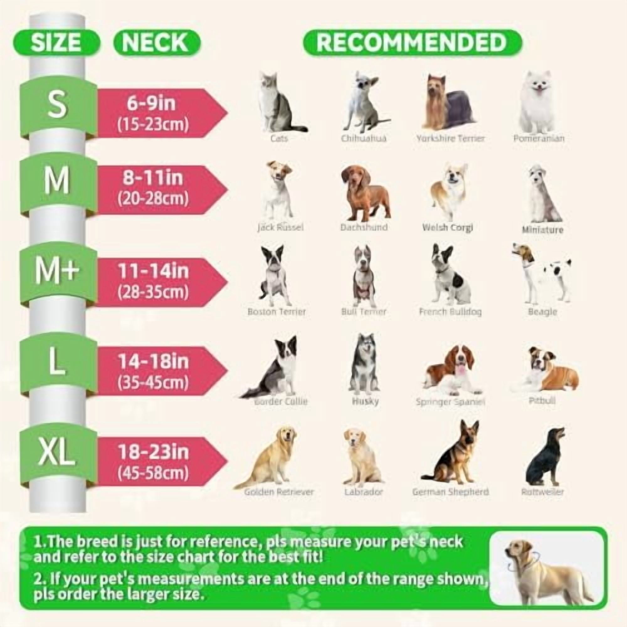Upgraded Inflatable Dog Cone Collar with Transparent Anti-Licking Shield, Adjustable Elizabethan Collar for Medium Large Dogs, 2-in-1 Design with Detachable Shield and Soft Padding (M, Watermelon)