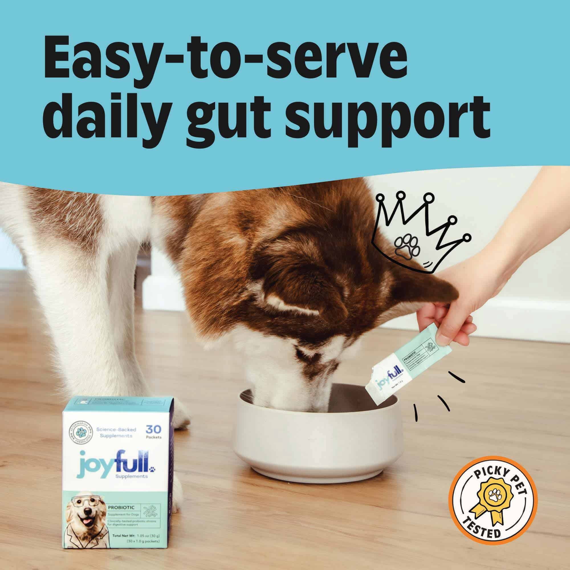 Joyfull Probiotic Powder for Dogs – Clinically Proven Strains for Diarrhea & Digestive Support – 30 Daily Packets with Beef Bone Broth