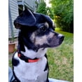 thumbnail image 1 of Collar reflectante para perros, collar de nailon transpirable con acolchado de neopreno suave, ajustable para perros pequeños, medianos, grandes y extragrandes., 1 of 5