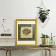 thumbnail image 5 of Mini Exotic Coral VI (U) - Framed Print w/glass - Sunflower Yellow, 5 of 7