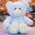 thumbnail image 3 of PELUCHERIA| Oso de Peluche Premium Azul, 3 of 4