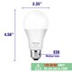 thumbnail image 2 of Bombilla LED Maelsrlg 12 V, 13 W, 100 W, equivalente a 2700 K E26, paquete de 4, 2 of 7