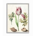 thumbnail image 2 of Stupell Industries Exotic Tropical Pink Floral Illustration with Nautical Shells Framed Wall Art Design by Ziwei Li, 16" x 20", Black Framed, 2 of 5