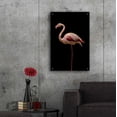 thumbnail image 6 of Epic Art 'Flamingo' by Incado, Acrylic Glass Wall Art, 24"x36", 6 of 8