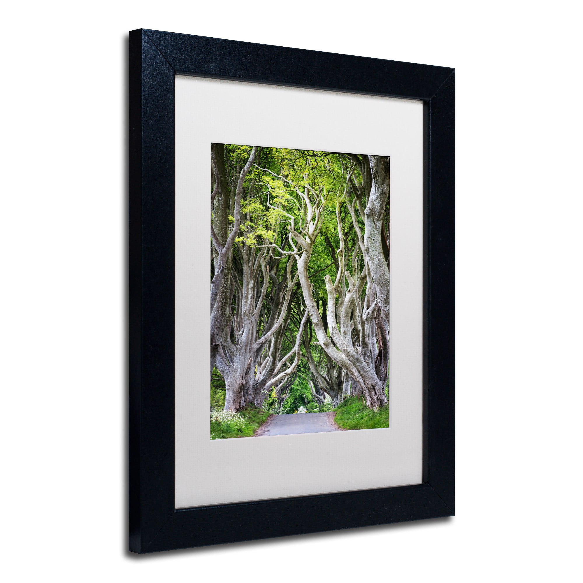 Trademark Fine Art "Down There" Canvas Art by Philippe Sainte-Laudy, White Matte, Black Frame