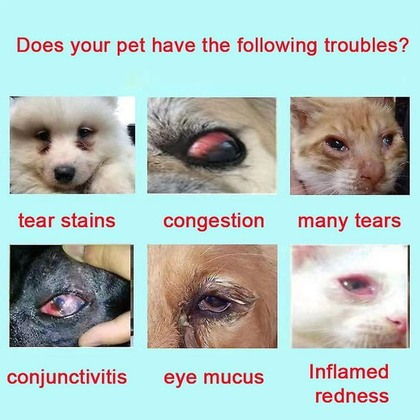 Tib Dog Cataract Eye Drops 20ml Treat Cat Pet Elderly Dog Early Keratitis To Tear Stains Pet Eye Drop Water Walmart