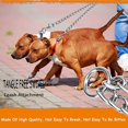 thumbnail image 5 of Correa doble de cadena para perro de metal, correa sin enredos de primera calidad para dos perros al aire libre, 5 of 5