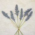 thumbnail image 4 of 6pcs PE Lavender Artificial Plants Vases for Home Decoration Wedding Decorative Fake Flowers Bridal Accessories Clearance, 4 of 5