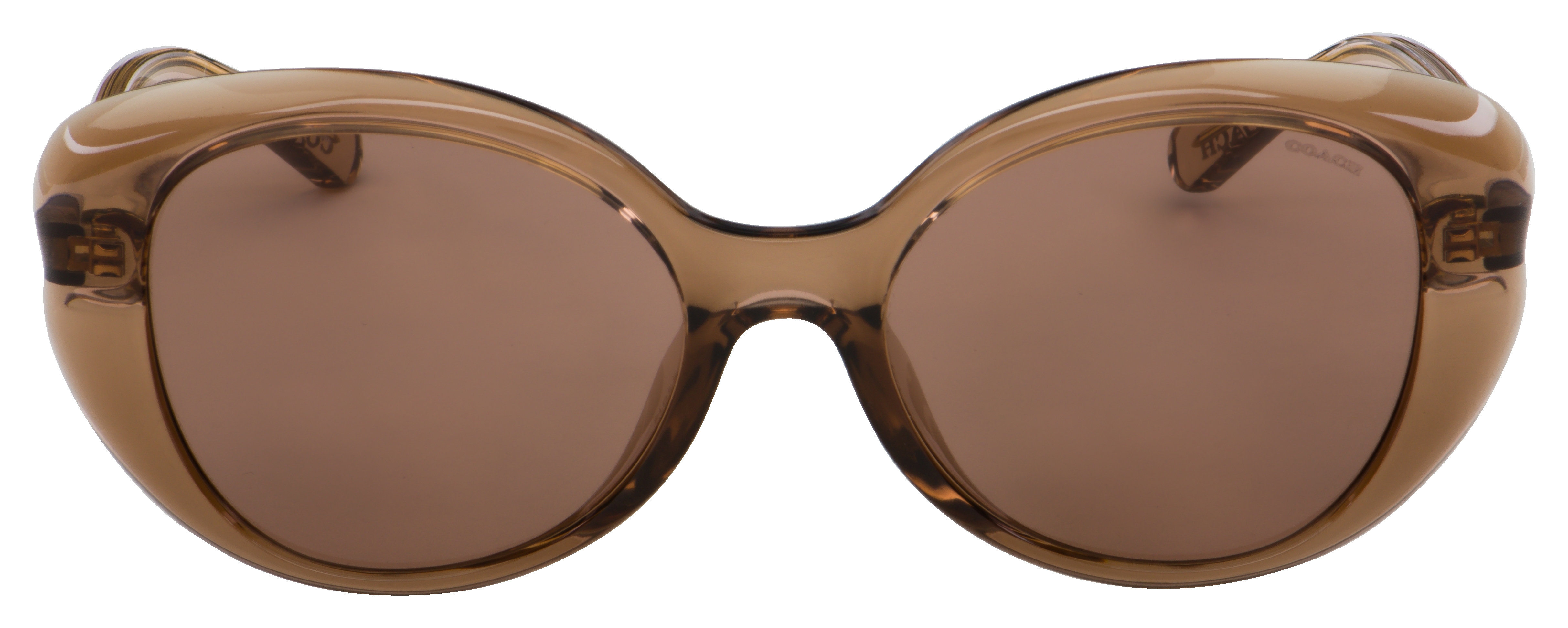 Sunglasses Coach HC 8306 U 503973 L1171 Brown - Walmart.com