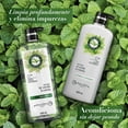 thumbnail image 5 of Shampoo Herbal Essences Detox Té Verde & Menta 600 ml, 5 of 5