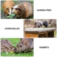thumbnail image 4 of Hamster Chinchilla Cooling Stone Cooling Plate Rabbit Cool Plate Cooling Pad Cold Plate, 4 of 6