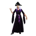 thumbnail image 1 of Womens Plus Size Purple Moon Witch Costume, 1 of 2