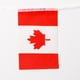 thumbnail image 3 of 3x Bandera de La Nación de Canadá Bnners Banderas de Cuerda para Bares Deportivos Decoración de Fiesta 5,5 M 3 piezas, 3 of 8
