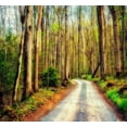 thumbnail image 2 of Amos, Andy 21x20 White Modern Wood Framed Museum Art Print Titled - Wood Path, 2 of 4