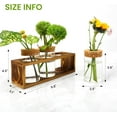 thumbnail image 3 of Propagation Stations, Plant Terrarium for Indoor Hydroponic Decor, Glass planters for Fresh Cuttings, Unique Birthday Gifts for Women & Mom, Home/Office Decor, 3 of 10
