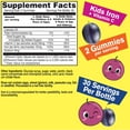 thumbnail image 2 of WellYeah Iron Gummies for Kids with Vitamin C - Anemia Support, Red Blood Cell Formation, Energy, and Immunity Support Gummy, Iron Supplements for Kids - GMO Free, Natural Grape Flavor - 60 Count, 2 of 5