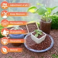 thumbnail image 3 of NOGIS 0.77lb Red Horticultural Lava Rocks for Plants, Succulents Cactus Bonsai Soil Volcanic Rocks for Aquarium Outdoor Decorative Stones for Craft Projects, Vase Fillers, 3mm-6mm, 3 of 6