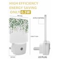 thumbnail image 3 of Night Lights Auto Sensor Eucalyptus Leaves Plug-in LED Nightlights Lamp Dusk to Dawn for Living Room, Bedroom, Bathroom, Hallway, Stairways Home Wall Decor, Sage Green Leaf Berry Night Light, 3 of 9