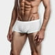 thumbnail image 4 of Calzoncillos Para Hombre, Ropa Interior, Pantalones Cortos, Bolsa Fina, Color Sólido, Ropa Interior Masculina, 4 of 7