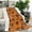 Halloween Pumpkin Witches, variant on Halloween Pumpkin Witches Pattern Blanket,Comfortable Soft Lamb Wool Throw Blanket,All Season,Warm Lightweight Blankets for Sofa Bed Couch Living Room Chair,40"x50"