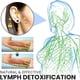 thumbnail image 3 of Pendientes magnéticos de desintoxicación linfática, pendientes magnéticos de acupresión para adelgazar, pendientes de acupresión sin perforación para perder peso, 3 of 5