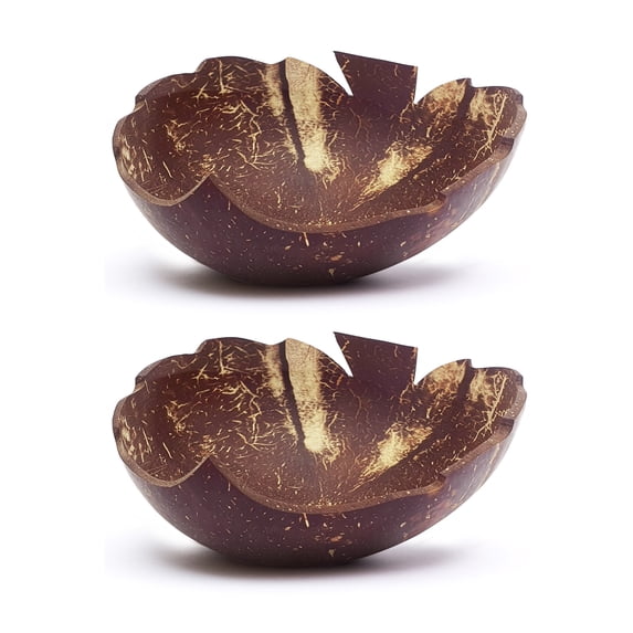 Rainforest Bowls Leaf Coconut Bowl 2-Pack