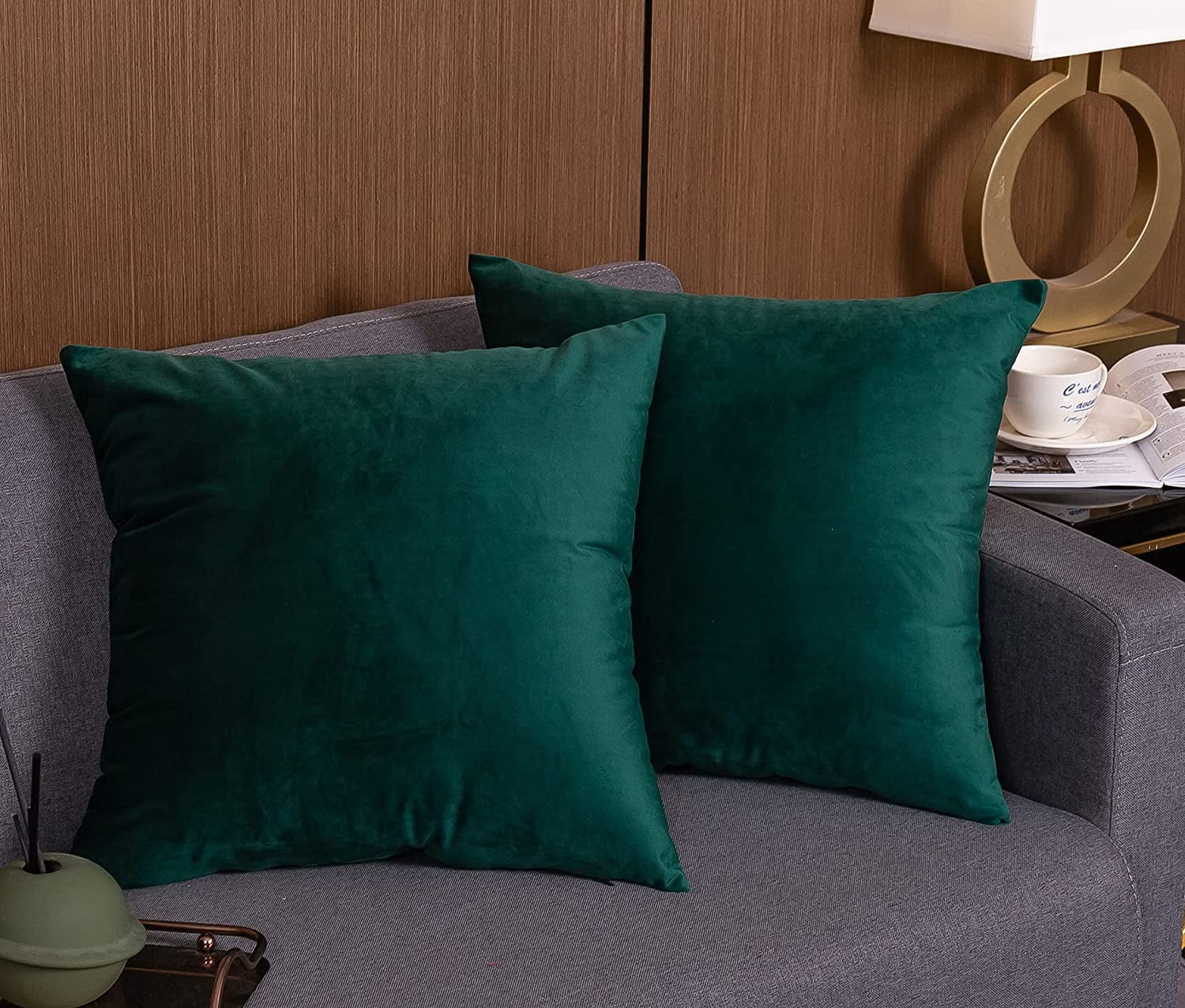 Dark Green Sofa Pillows Baci Living Room