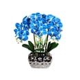 thumbnail image 1 of Orquídeas Artificiales Bearachild Phalaenopsis Azul, 1 of 6