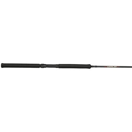 B'N'M Bucks Best Fishing Rod with Ultralite Bottom Reel Seat, 10', (Best Reel For Mackerel Fishing)
