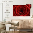 thumbnail image 5 of Elephant Stock Damp Red Rose Wall Art - Horizontal Canvas Wall Art - Living Room Wall Decor - Floral And Botanical Canvas - Red And Black Decor - 12" x 8", 5 of 8