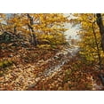 thumbnail image 2 of Ziman, Peter 14x11 White Modern Wood Framed Museum Art Print Titled - Autumn Still Life, 2 of 4