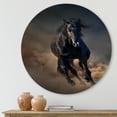 thumbnail image 2 of Designart 'Close Up Of Thoroughbred Nonius Stallion Horse I' Farmhouse Circle Metal Wall Art 11x11 - Disc of 11, 2 of 5