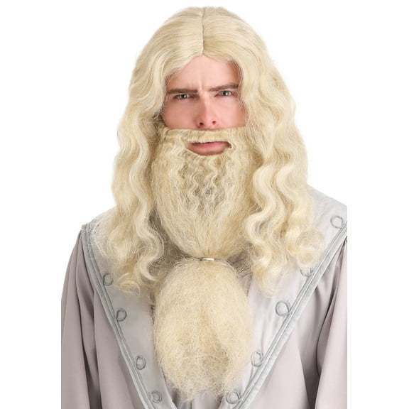 Headmaster Wizard Adult Wig and Beard