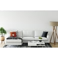 thumbnail image 3 of Simply Daisy 16" x 16" RIP Decorative Throw Pillow, Sienna, 3 of 4
