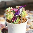thumbnail image 3 of Qwtwty Flower Pot Plug-in Acrylic Potted Insert Bird Planter Decoration, 3 of 5