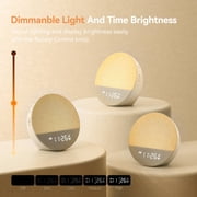 Dreamegg White Noise Sound Machine for Adult Sleep Sunrise Wake Up Alarm, 29 Soothing Sounds Therapy, White