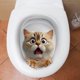 thumbnail image 1 of Pegatina de pared con forma de gato en 3D para inodoro, decoración de tapa de inodoro, autoadhesiva, 1 of 5