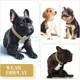 thumbnail image 5 of Cadena Para Perros, Collar De Diamante, Collar De Cadena De, 5 of 7