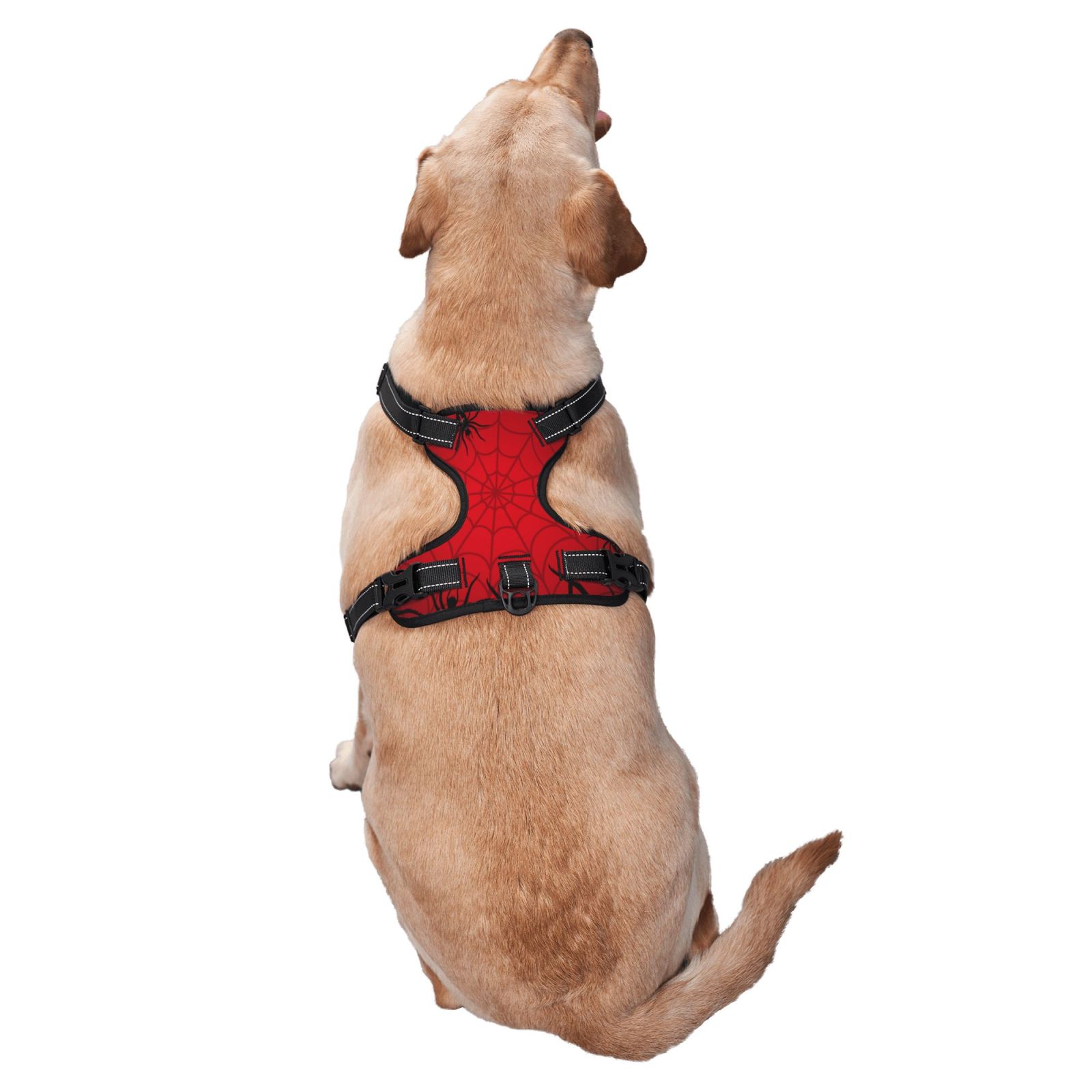 Vsdgher Spiders On The Web And Space Pattern Dog Harness,No Pull Pet Harness with Soft Padded Handle,Adjustable Reflective Vest with 2 Buckles,4 Slide Buckles,S-XL Small