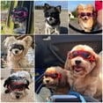 thumbnail image 5 of Gafas para perros PETLESO para razas pequeñas con protección UV, 5 of 5